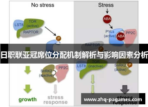 日职联亚冠席位分配机制解析与影响因素分析 日职联亚冠席位分配机制解析与影响因素分析
