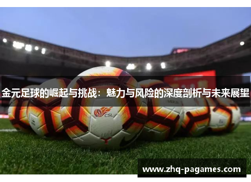 金元足球的崛起与挑战:魅力与风险的深度剖析与未来展望 金元足球的崛起与挑战:魅力与风险的深度剖析与未来展望